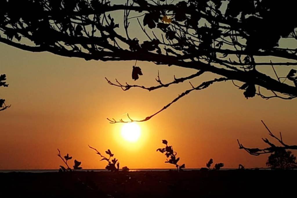 Vakantiehuisje Gaasterland Oudemirdum Friesland Nederland المظهر الخارجي الصورة